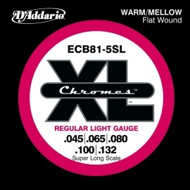 D´addario ECB81-5SL