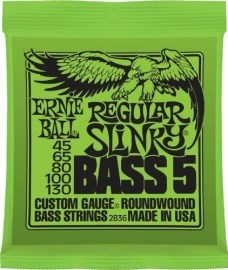 Ernie Ball Regular Slinky Bass 5 Strings