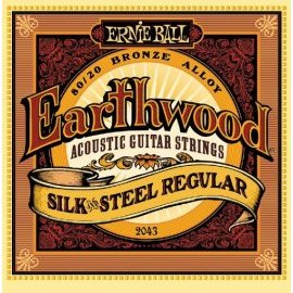 Ernie Ball Earthwood Silk and Steel Regular