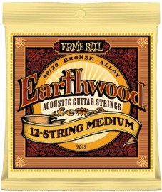 Ernie Ball Earthwood 12-string Medium