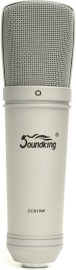 Soundking EC010W