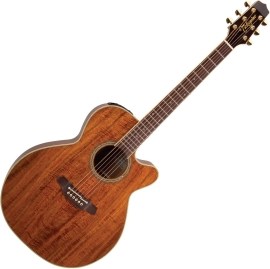 Takamine EF508