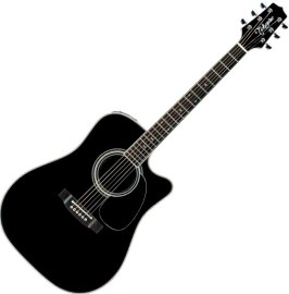 Takamine EF341