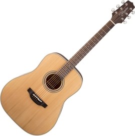 Takamine GD20