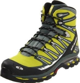 Salomon Cosmic 4D 2 GTX