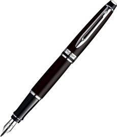 Waterman Expert CT/FP