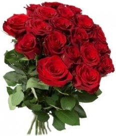 Kytica ruží (5-100)