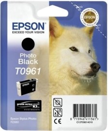 Epson C13T096140