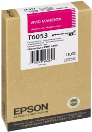 Epson C13T605300