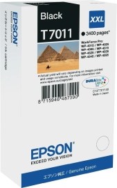 Epson C13T701140