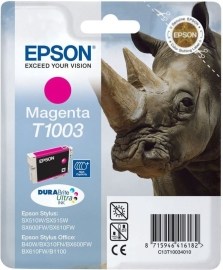 Epson C13T100340