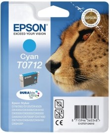 Epson C13T071240