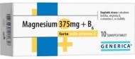Generica Magnesium 375mg + B6 10tbl - cena, porovnanie