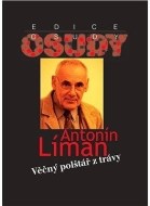 Věčný polštář z trávy - cena, porovnanie