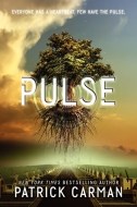 Pulse - cena, porovnanie