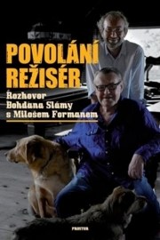 Povolání režisér