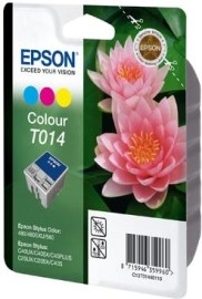 Epson C13T013402