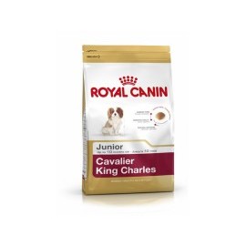 Royal Canin Cavalier King Charles Junior 1.5kg