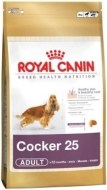 Royal Canin Jack Russell Terrier Adult 0.5kg - cena, porovnanie