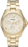 Fossil AM4510 - cena, porovnanie