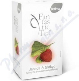 Biogena Fantastic Tea Jahoda & Ginkgo 20x2.5g