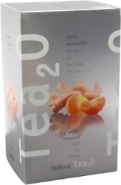 Biogena Tea2O Zázvor & Mandarinka 20x2.5g