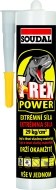 Soudal T-Rex Power 290ml - cena, porovnanie