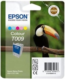 Epson C13T009401