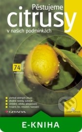 Pěstujeme citrusy v našich podmínkách