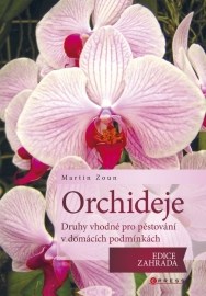 Orchideje - druhy vhodné pro pěstování v domácích podmínkách