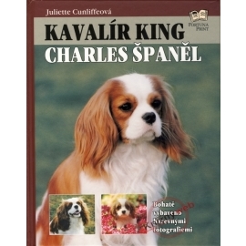 Kavalír king Charles španěl