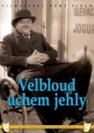 Velbloud uchem jehly