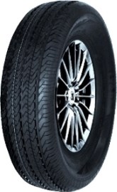 Double Star DS828 215/75 R16 113R