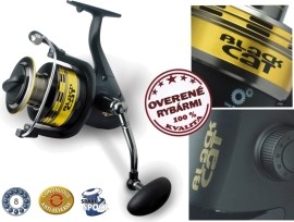 Black Cat Passion 880 FD