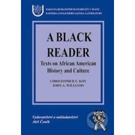 A black reader - Texts on African American history and culture