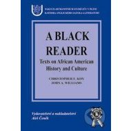 A black reader - Texts on African American history and culture - cena, porovnanie