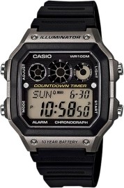 Casio AE-1300