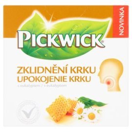 Pickwick Delicious Spices Spiced Orange 20x2g