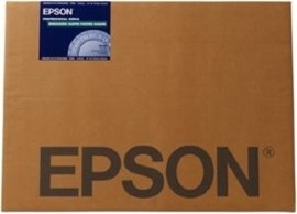 Epson C13S042110