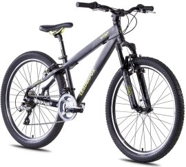 Leader Fox Dirt Parade Weeny 2014 18"