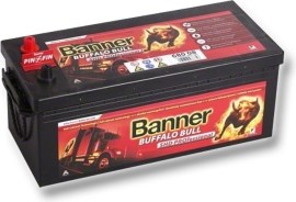 Banner Buffalo Bull SHD Professional 145Ah