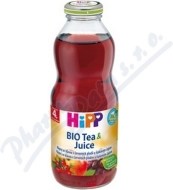 Hipp Čaj & ovocie Šípkový čaj so štavou z červených plodov 500ml - cena, porovnanie