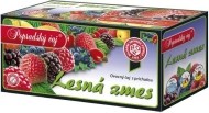 Bop Lesná zmes 20x2g - cena, porovnanie