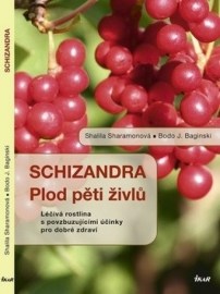 Schizandra Plod pěti živlů