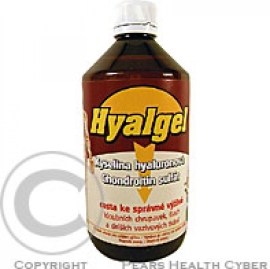 Silvita Hyalgel 500ml