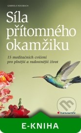 Grada Síla přítomného okamžiku