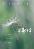 Pád do milosti - cena, porovnanie