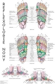 Reflexológia nohy
