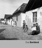 Eva Davidová - cena, porovnanie