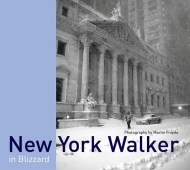 New York Walker - cena, porovnanie
